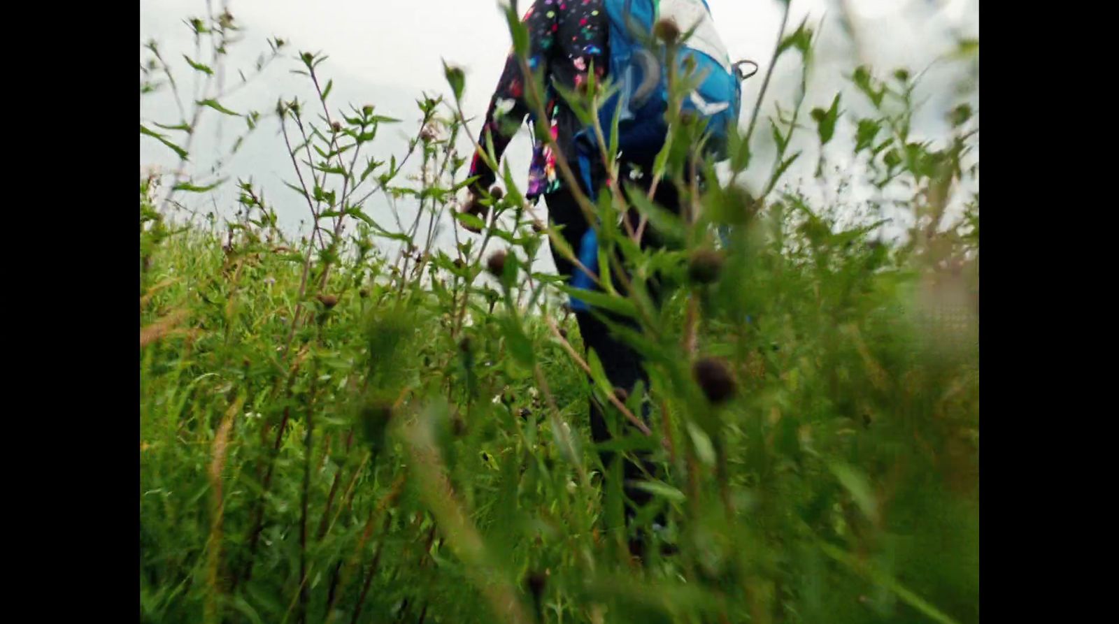 a woman with a blue backpack walking through tall grass