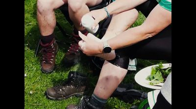 a group of people sitting on top of a lush green field