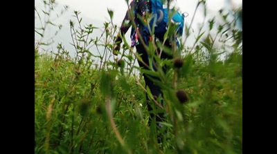 a person walking through a field with a backpack