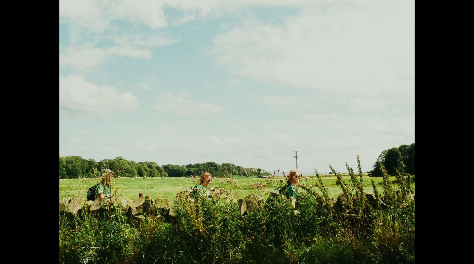 a group of people standing on top of a lush green field