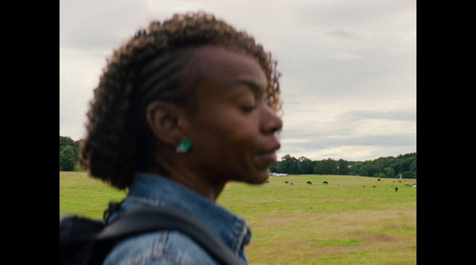 a woman standing in a field with cows in the background