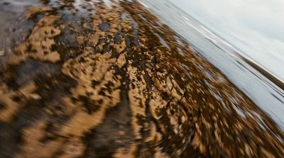 a person riding a surf board on a body of water