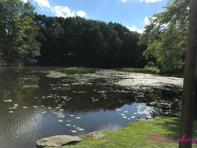 a body of water surrounded by trees and grass