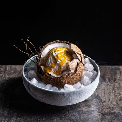 a bowl filled with ice and some kind of food