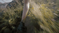 a blurry photo of a person walking in a field