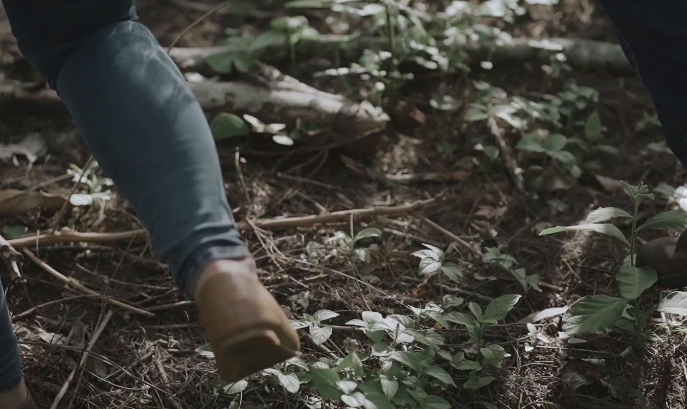 a couple of people walking through a forest