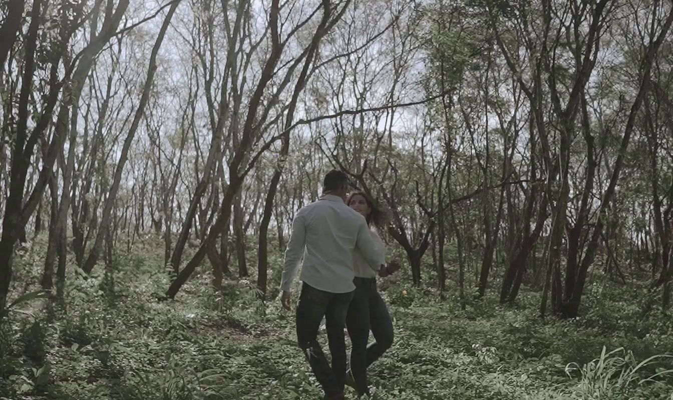 a man walking through a forest with trees in the background