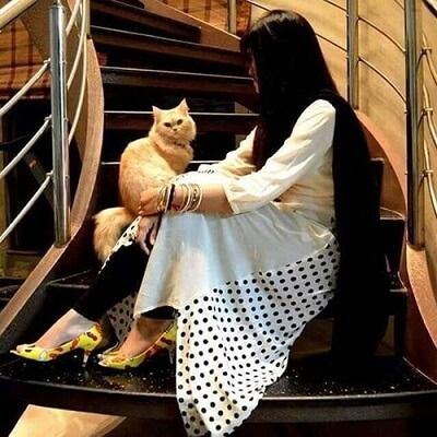 a woman sitting on a stair case with a cat