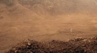 a man standing on top of a dirt field