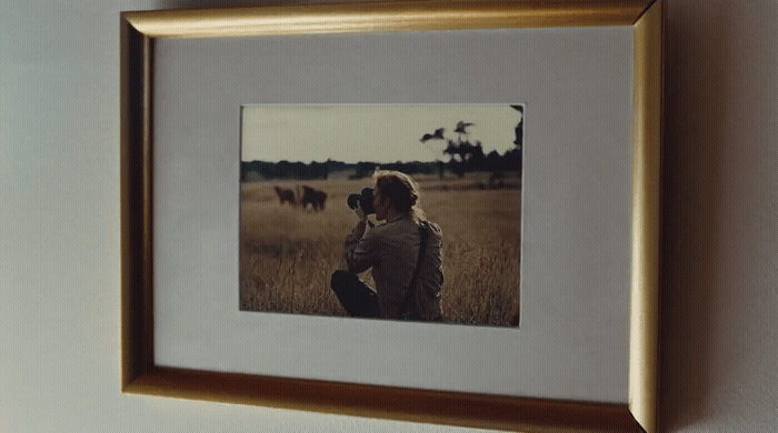 a picture of a person taking a picture of a cow