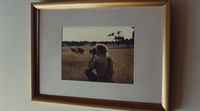 a picture of a person taking a picture of a cow