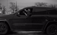 a dog sitting in the drivers seat of a jeep