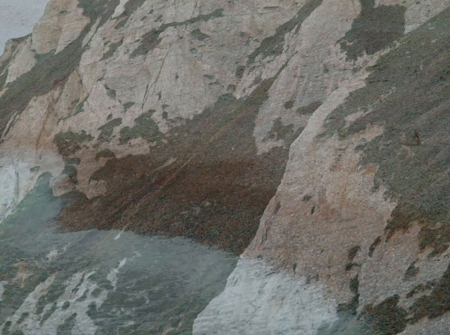 a bird is perched on a rock near a body of water