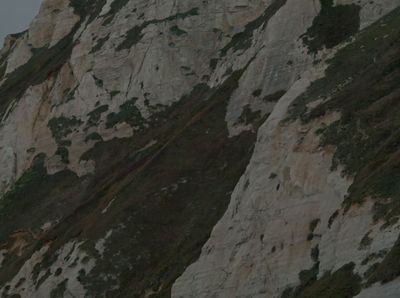 a bird flying over a mountain side under a cloudy sky