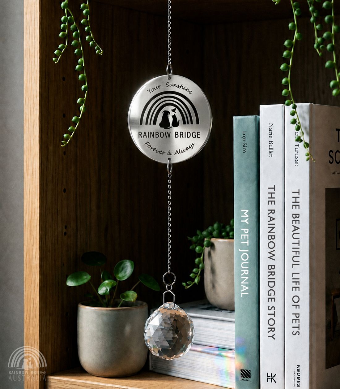 a clock hanging from a book shelf next to a potted plant