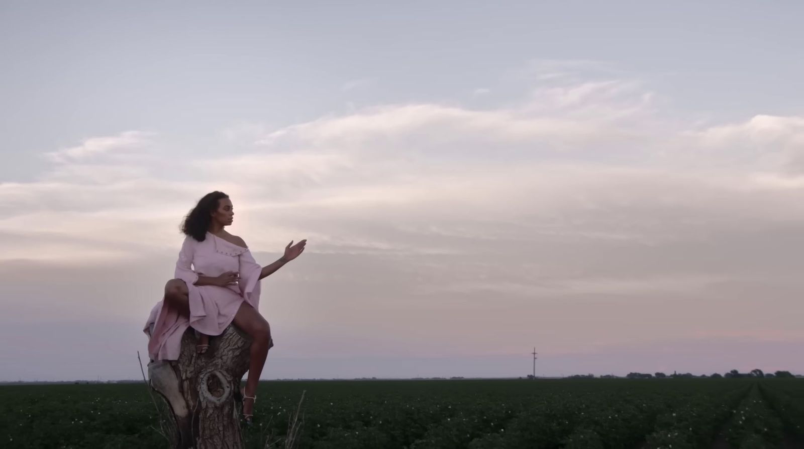 a woman sitting on top of a tree stump in a field