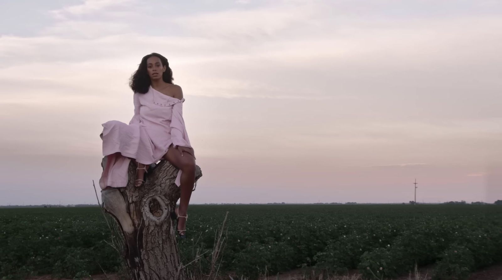 a woman sitting on top of a tree stump in a field