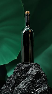 a bottle of wine sitting on top of a rock