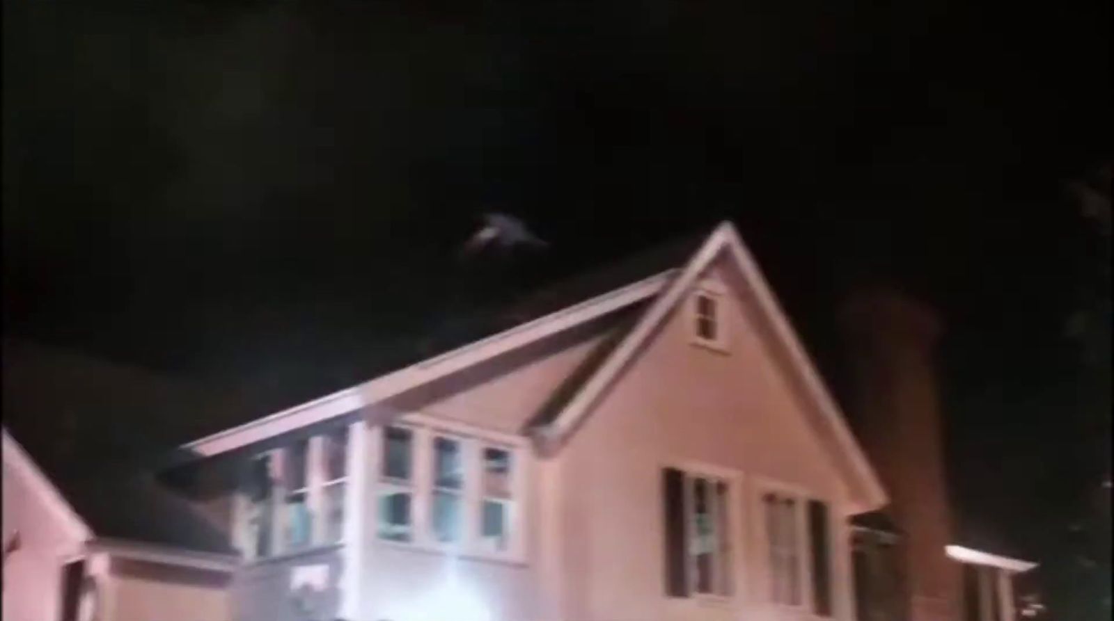 a bird is flying over a house at night