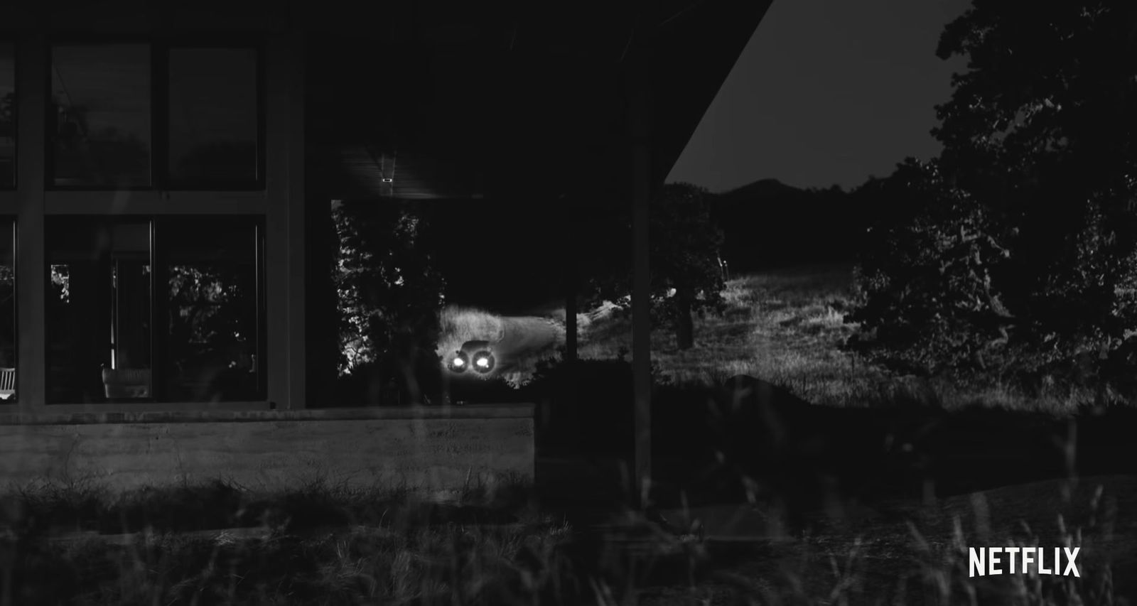 a black and white photo of a cat in a window