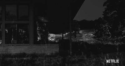 a black and white photo of a cat in a window