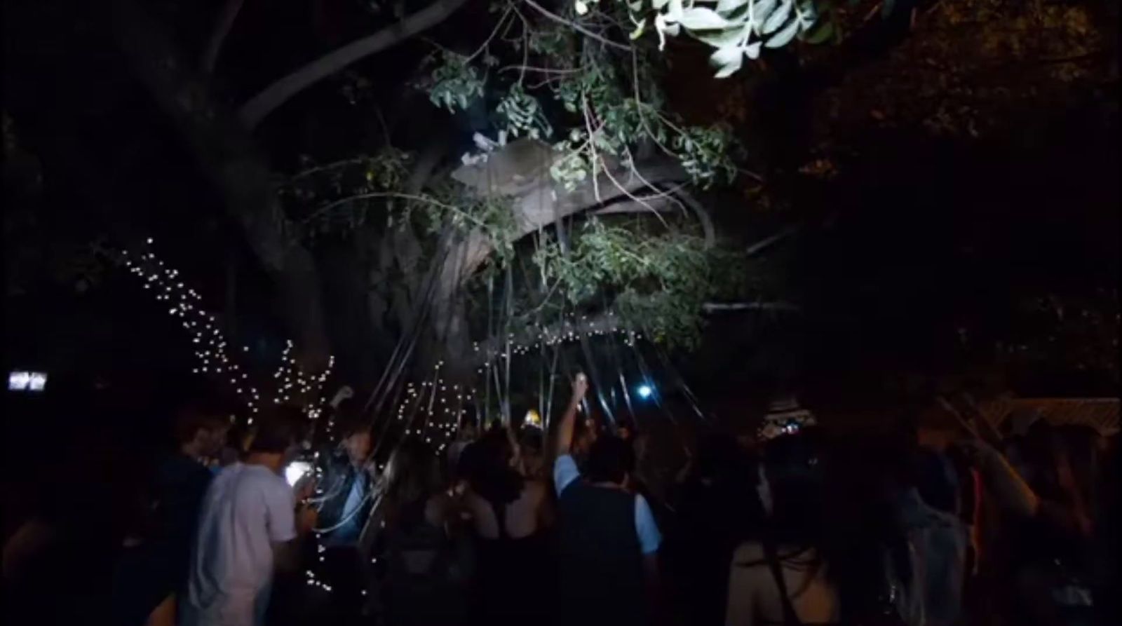 a group of people standing around a tree at night