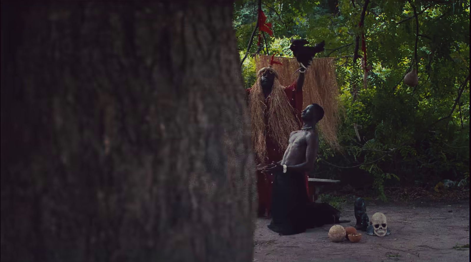 a woman standing next to a tree holding a basket