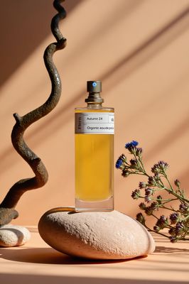 a bottle of perfume sitting on top of a rock