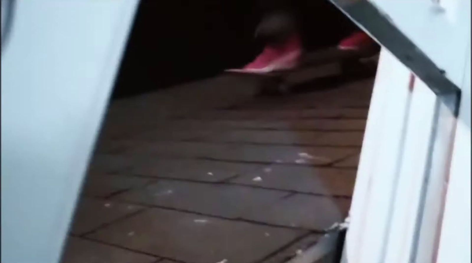 a blurry image of a dog coming out of a door