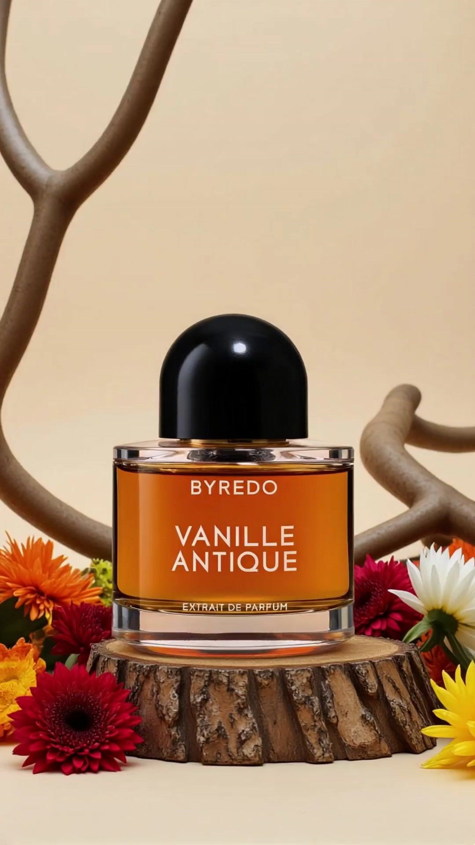 a bottle of perfume sitting on top of a tree stump