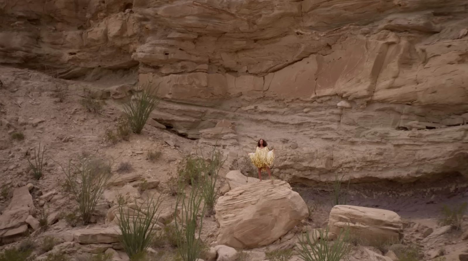 a person standing on top of a large rock