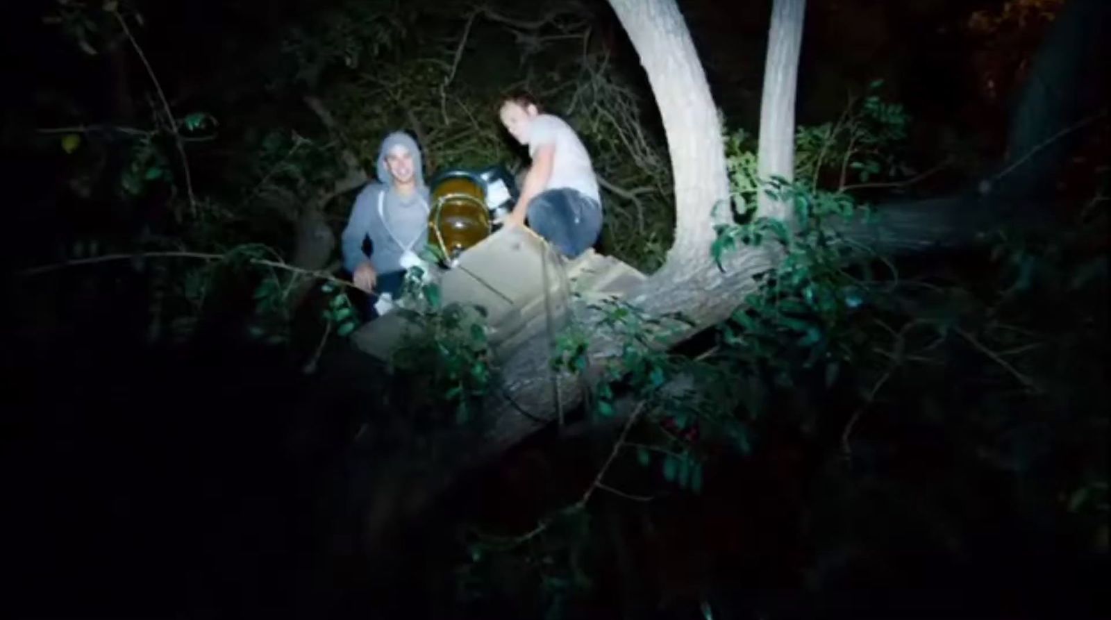 a couple of people sitting on top of a tree