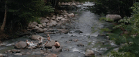 a couple of people standing on rocks in a river