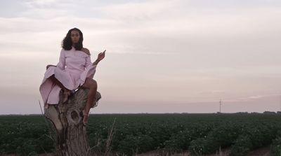 a woman in a pink dress sitting on a tree