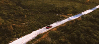 a car driving down a road in the middle of a forest