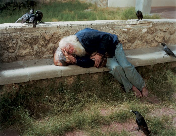 a man is sleeping on a bench with birds around him