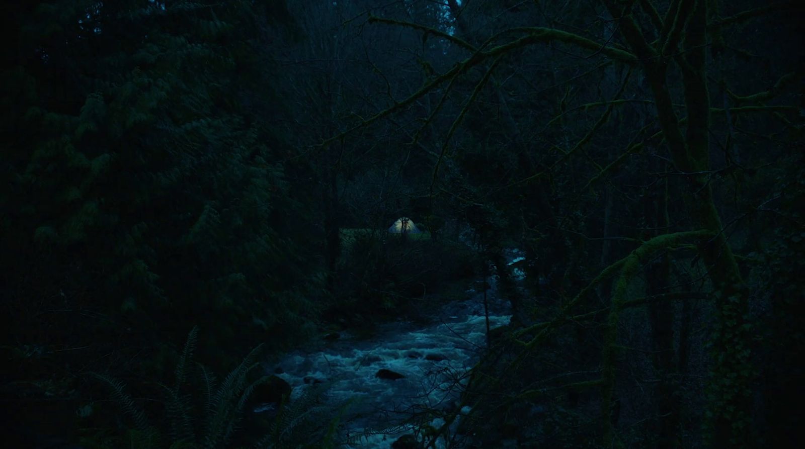 a stream running through a forest at night