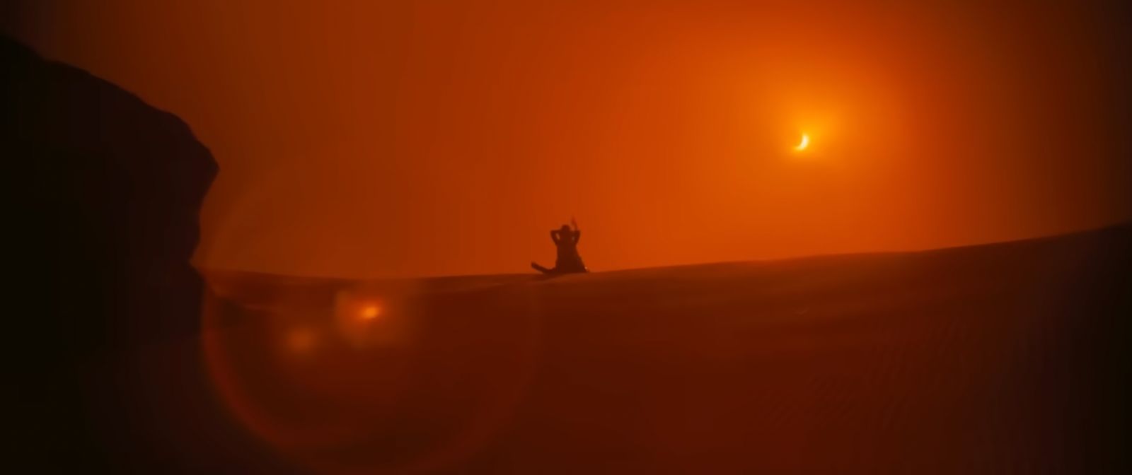 a person standing in the middle of a desert