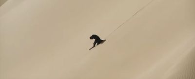 a black bird flying through the air over a sandy beach