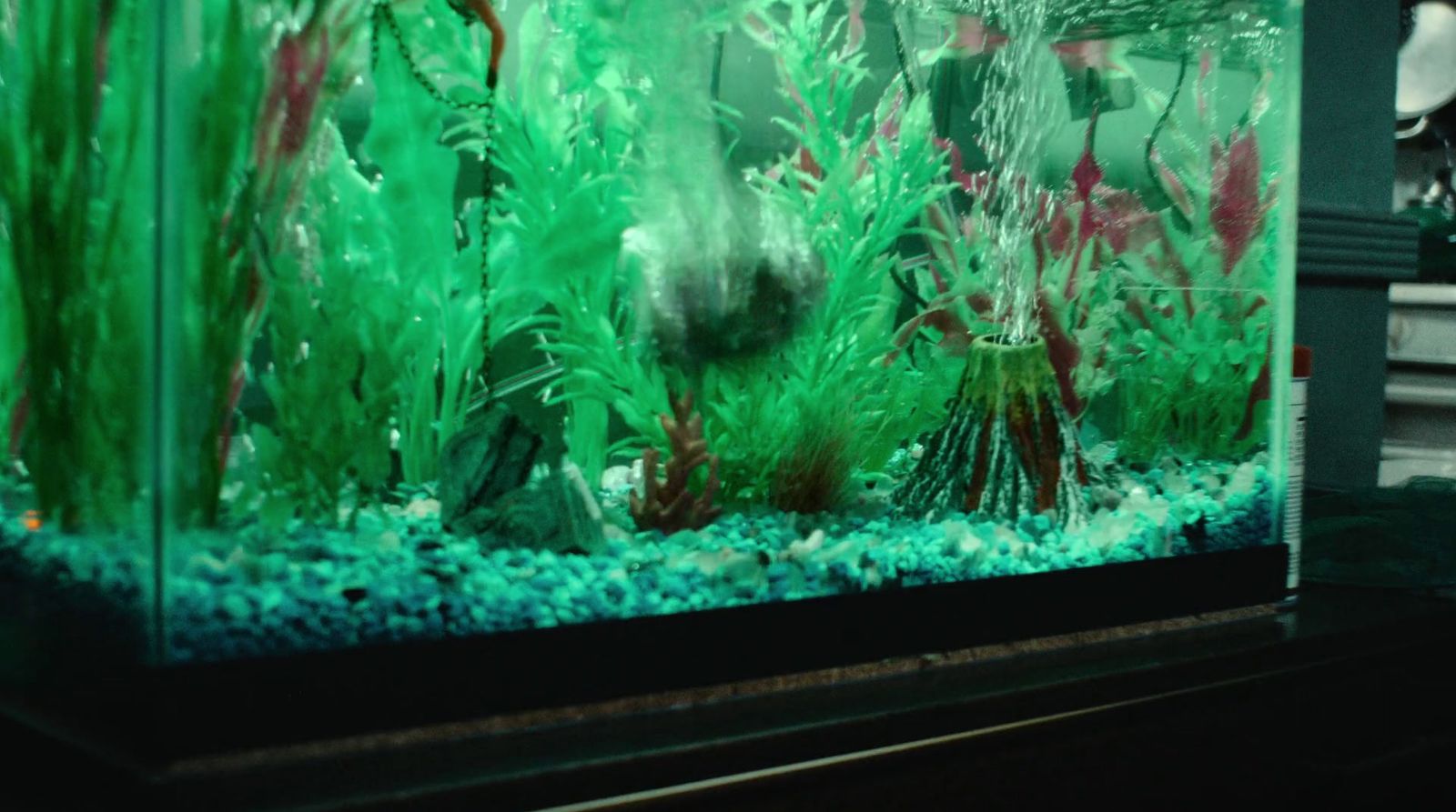 a fish tank filled with water and plants