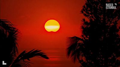 the sun is setting over the ocean with palm trees