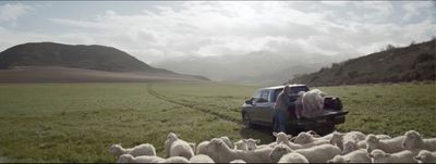 a herd of sheep standing next to a truck in a field