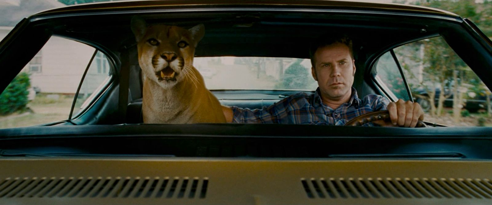 a man driving a car with a dog in the passenger seat