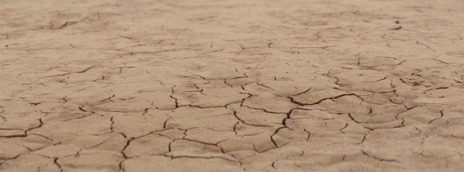 a close up of a dirt field with little cracks