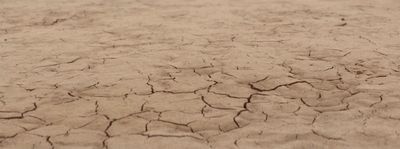 a close up of a dirt field with little cracks