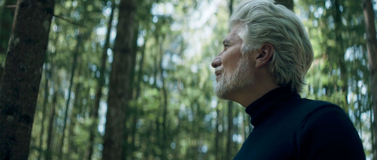 a man with white hair and beard standing in a forest