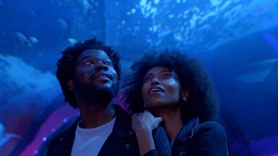 a man and a woman standing in front of a fish tank