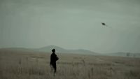 a person standing in a field flying a kite