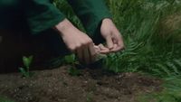 a person kneeling down in a field of grass