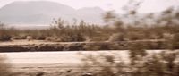 a blurry picture of a desert landscape with mountains in the background